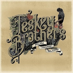 Teskey Brothers - Run Home Slow  Ltd Anniversary Edition  LP
