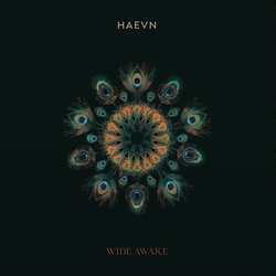 Haevn - Wide Awake   LP