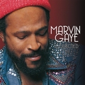 Marvin Gaye - Collected (best of) 2LP